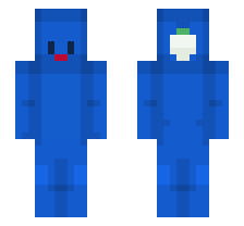 skin