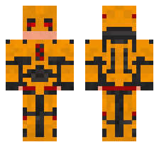 skin