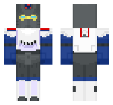 skin
