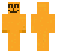 skin