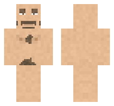 skin