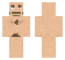 skin