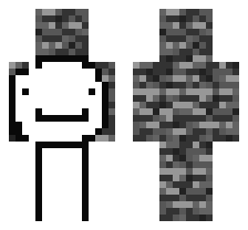 skin