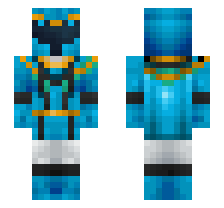 skin
