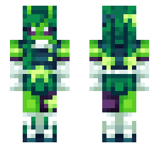 skin