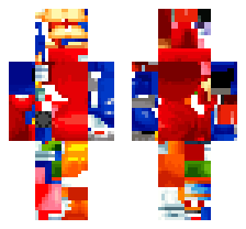 skin