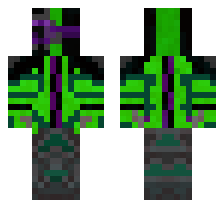 skin