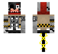 skin