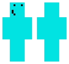skin