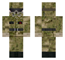 skin