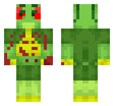 skin