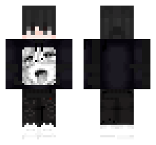skin