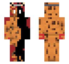 skin