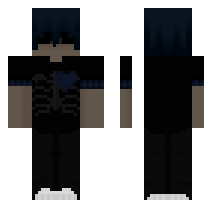 skin