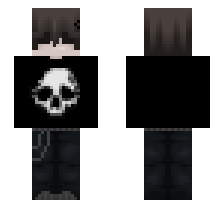 skin