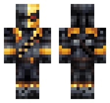skin