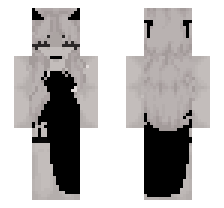 skin