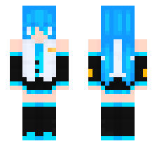 skin