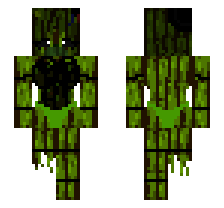 skin