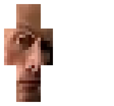 skin