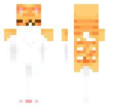 orange and white cat