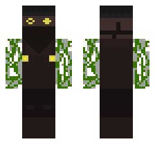skin