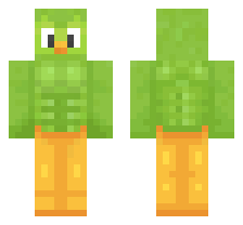 skin