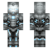 skin
