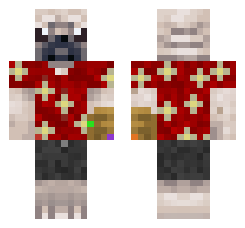 skin