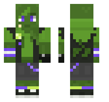 skin
