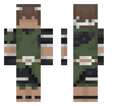 skin