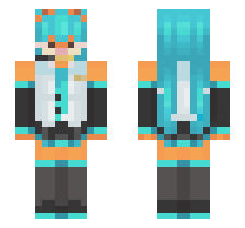 skin