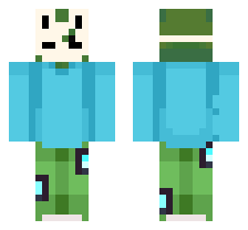 skin