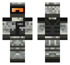 skin