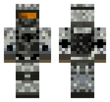 skin