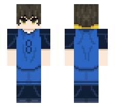 skin