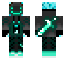skin