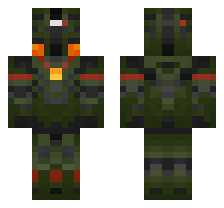 skin