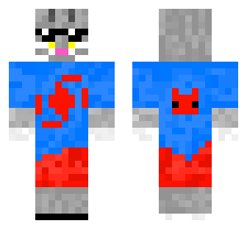 skin