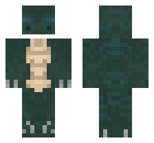 skin