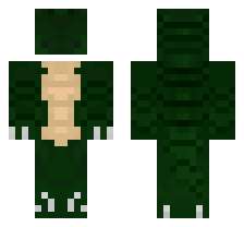 skin