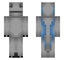 skin