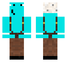 skin