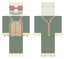 skin