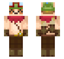 skin