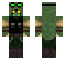 skin