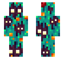 skin