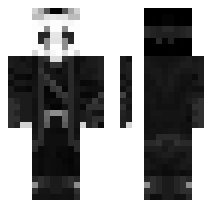 skin