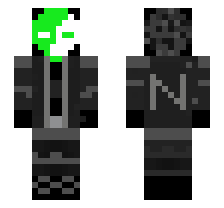 skin