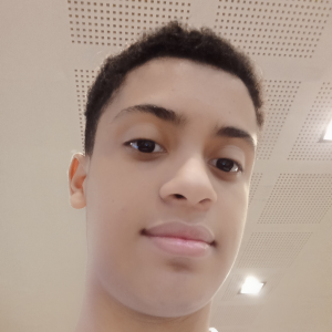 João Pedro Martins Freitas da Guia 